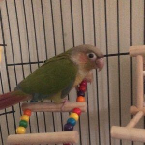 Meet your Posher, Kendra